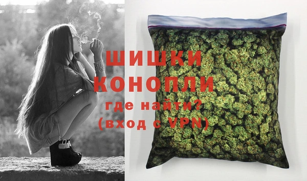 крисы Володарск