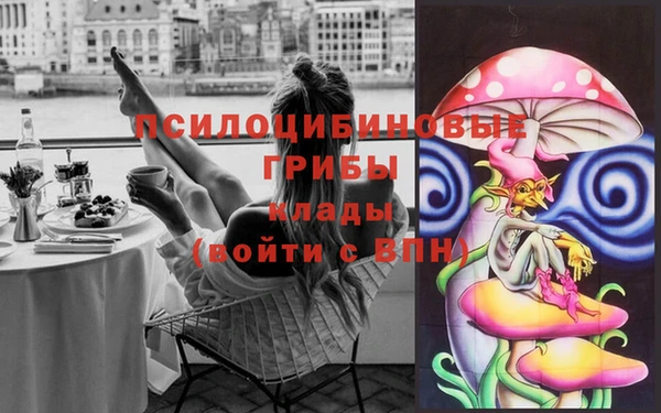 крисы Володарск