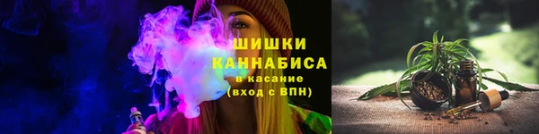 крисы Володарск