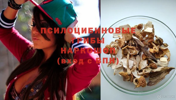 мяу мяу мука Волоколамск