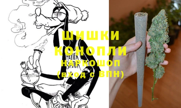 крисы Володарск