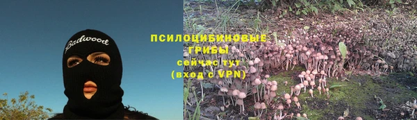 крисы Володарск