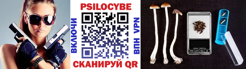 цены мега ссылка Галлюциногенные грибы прущие грибы Муром