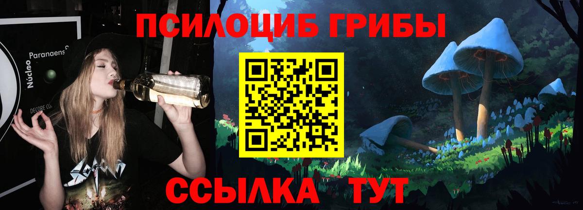 Галлюциногенные грибы Magic Shrooms Муром